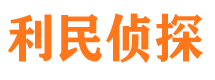 环翠市侦探公司